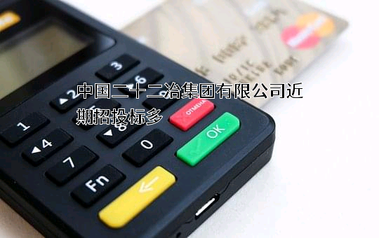 中国二十二冶集团有限公司