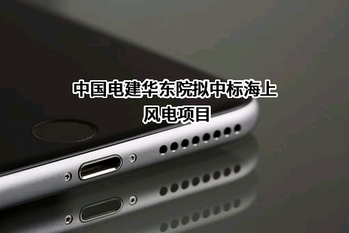 中国电建华东院拟中标海上风电项目