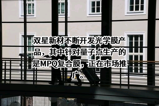 江苏双星彩塑新材料股份有限公司