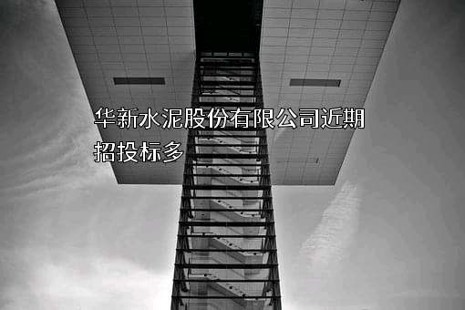 华新水泥股份有限公司