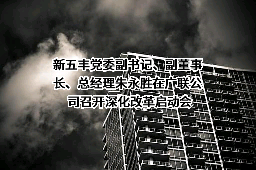 湖南新五丰股份有限公司