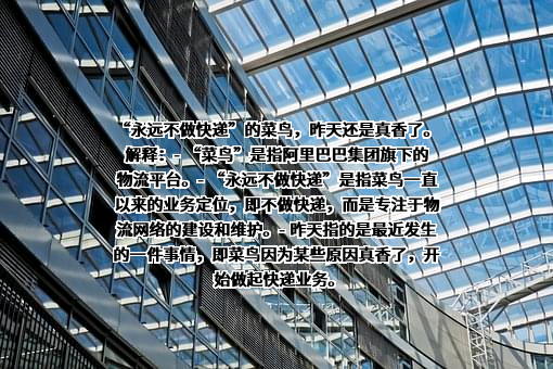 浙江天猫技术有限公司
