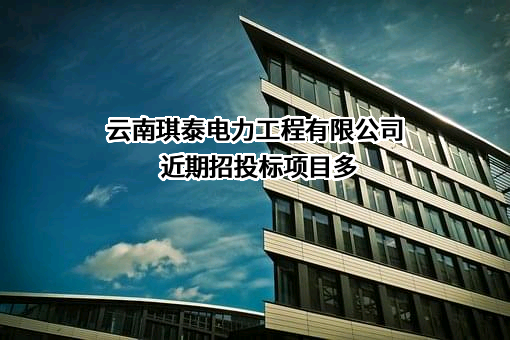 云南琪泰电力工程有限公司
