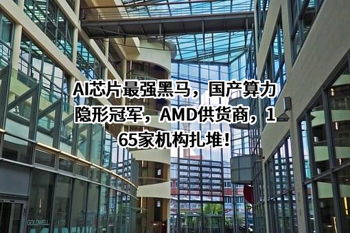 常州亚玛顿股份有限公司