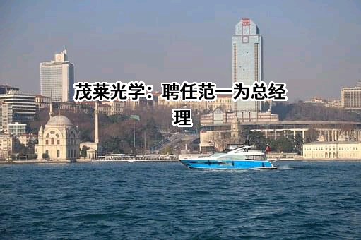 南京茂莱光学科技股份有限公司