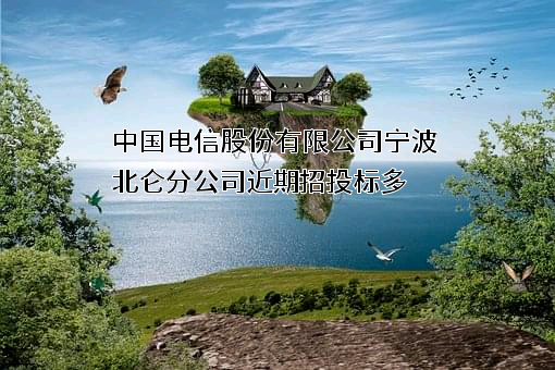 中国电信股份有限公司宁波北仑分公司