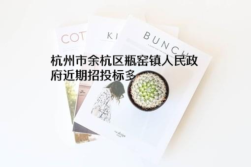 杭州市余杭区瓶窑镇人民政府