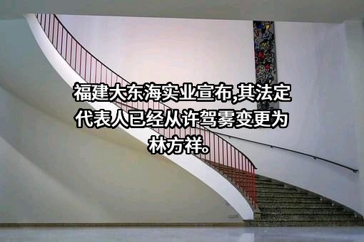 福建大东海实业集团有限公司