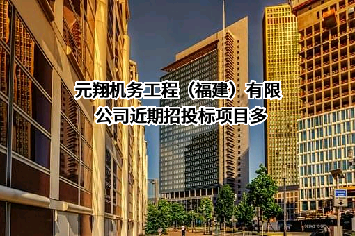 元翔机务工程（福建）有限公司近期招投标项目多