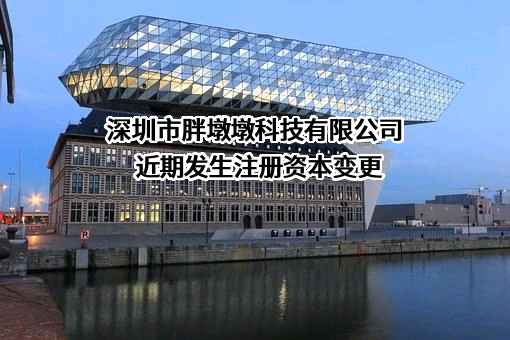 深圳市胖墩墩科技有限公司