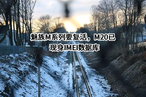 魅族M系列要复活，M20已现身IMEI数据库