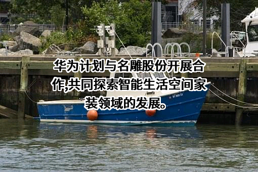 华为技术有限公司
