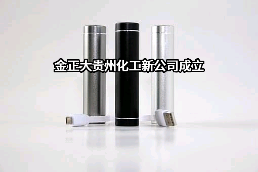 金正大生态工程集团股份有限公司
