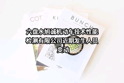 六盘水旭诚机动车技术性能检测有限公司