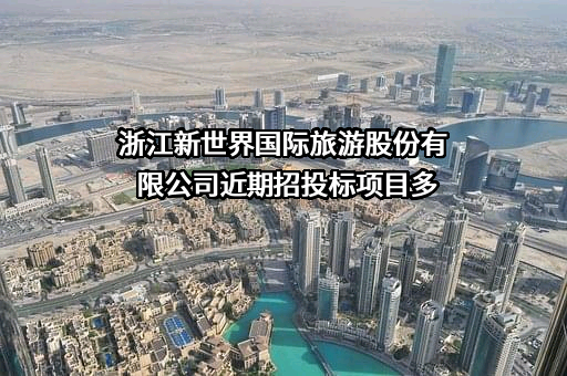 浙江新世界国际旅游股份有限公司