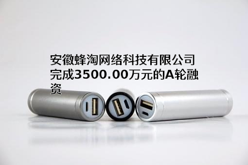安徽蜂淘网络科技有限公司