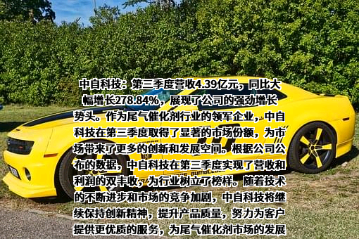 中自环保科技股份有限公司