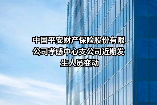 中国平安财产保险股份有限公司孝感中心支公司
