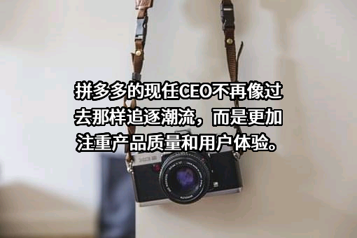 上海寻梦信息技术有限公司