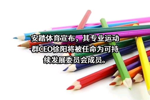 安踏体育用品有限公司