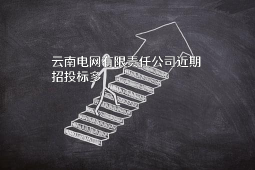 云南电网有限责任公司