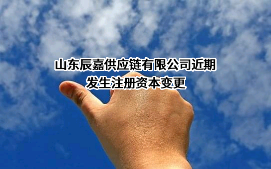 山东辰嘉供应链有限公司