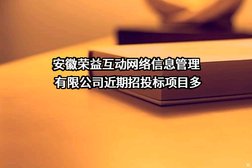 安徽荣益互动网络信息管理有限公司