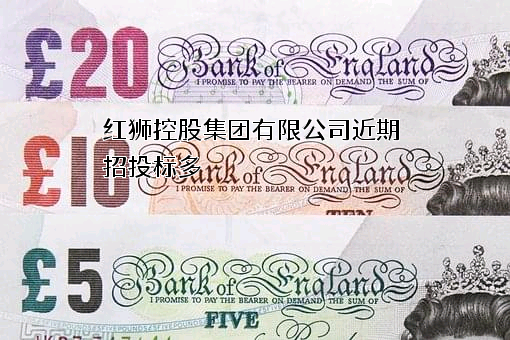 红狮控股集团有限公司
