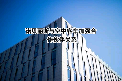 空中客车（中国）企业管理服务有限公司