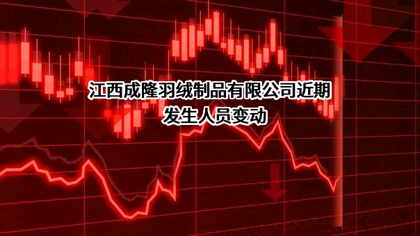 江西成隆羽绒制品有限公司