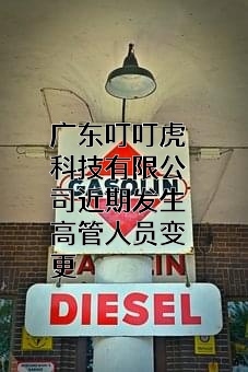 广东叮叮虎科技有限公司