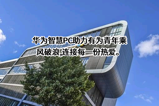 华为技术有限公司