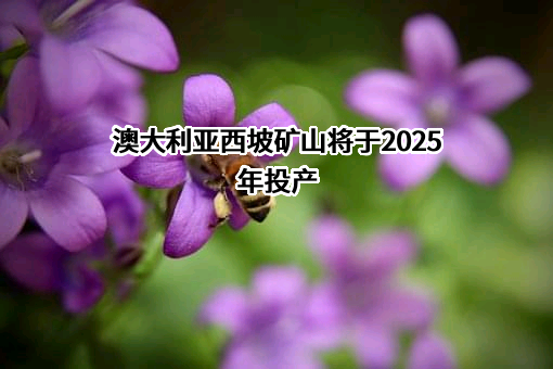 澳大利亚西坡矿山将于2025年投产