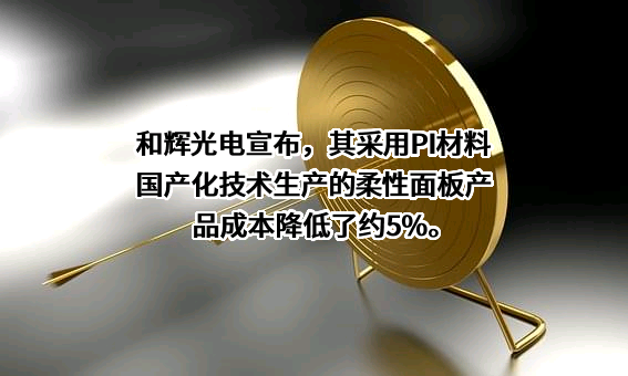 上海和辉光电股份有限公司