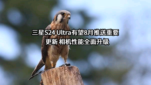 三星（中国）投资有限公司