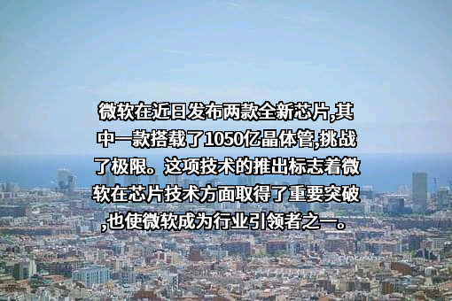 微软（中国）有限公司