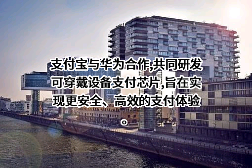 支付宝（中国）网络技术有限公司