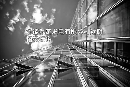 深能保定发电有限公司
