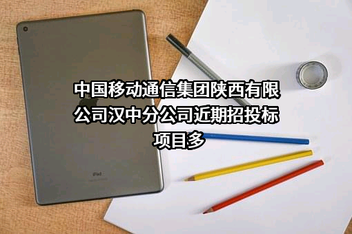 中国移动通信集团陕西有限公司汉中分公司