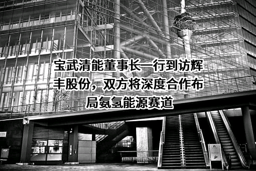 宝武清能董事长一行到访辉丰股份，双方将深度合作布局氨氢能源赛道