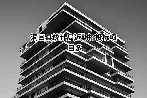 洞口县统计局近期招投标项目多