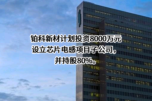 深圳市铂科新材料股份有限公司