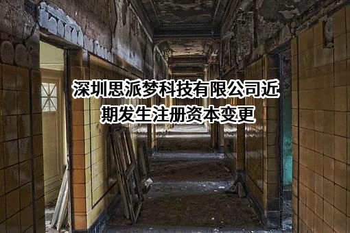 深圳思派梦科技有限公司