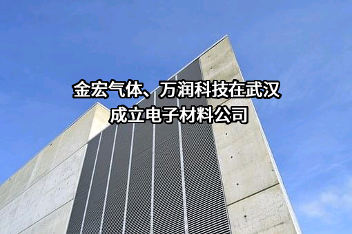 金宏气体、万润科技在武汉成立电子材料公司