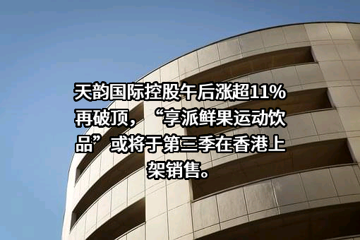 天韵国际控股有限公司
