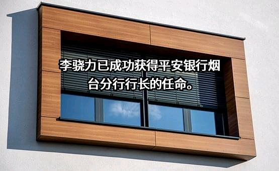 平安银行股份有限公司