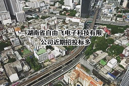 湖南省自由飞电子科技有限公司近期招投标项目多