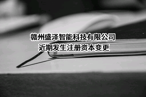 赣州盛泽智能科技有限公司