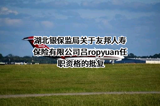 友邦人寿保险有限公司