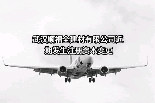 武汉顺福全建材有限公司